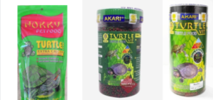 Apa-Makanan-Kura-Kura-Kecil.png