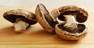 Harga-Jamur-Portabella.jpg