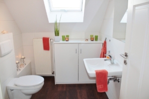 bathroom-bath-toilet-1228427.jpg