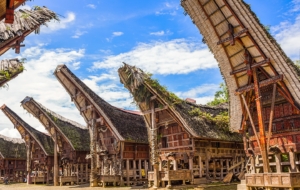 toraja-houses-1500.jpg