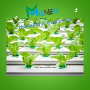 Hydroponic Gardening